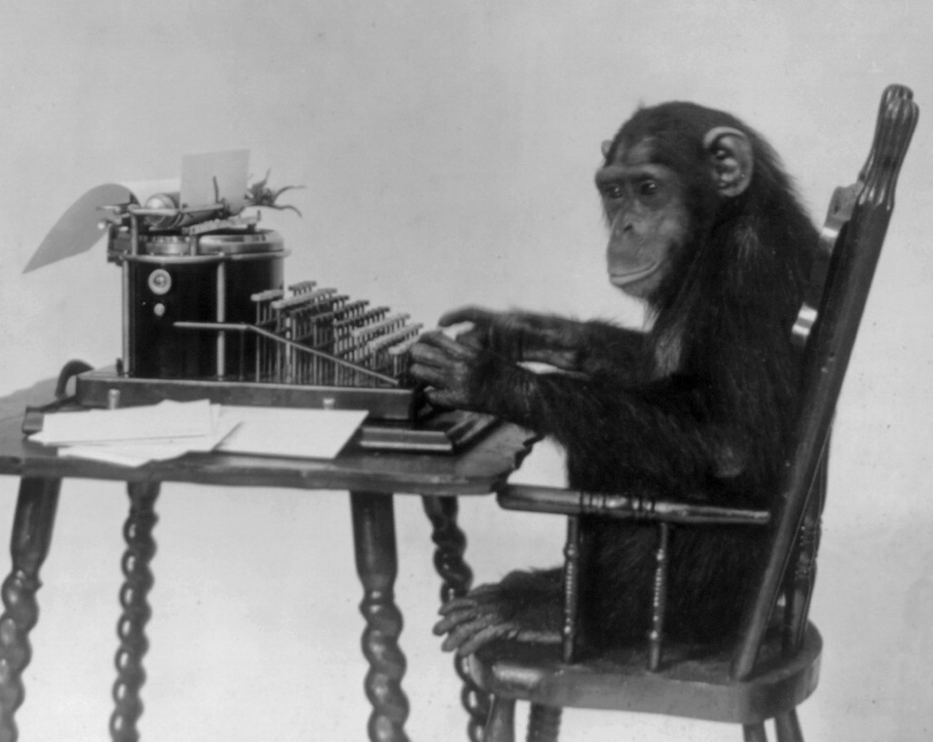 typewriter monkey